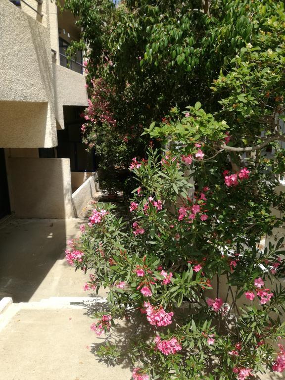 Pericles Studios Agia Marina  Экстерьер фото